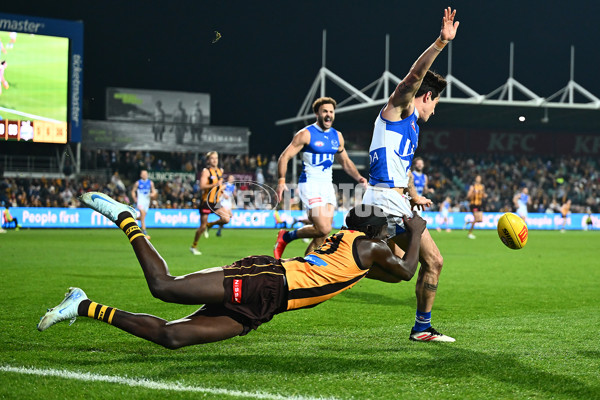 AFL 2025 Round 16 - Hawthorn v North Melbourne - A-60255915