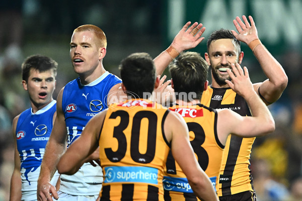 AFL 2025 Round 16 - Hawthorn v North Melbourne - A-60255919