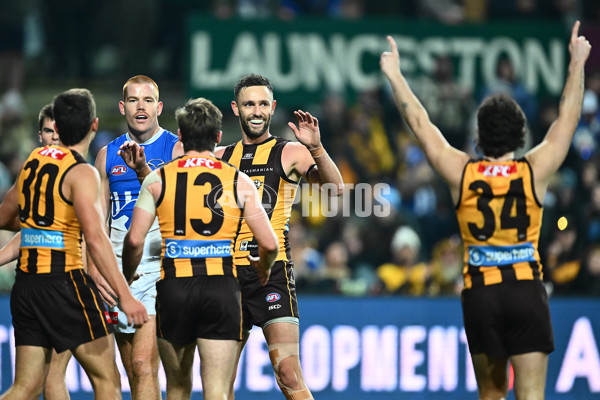 AFL 2025 Round 16 - Hawthorn v North Melbourne - A-60255923