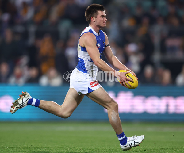 AFL 2025 Round 16 - Hawthorn v North Melbourne - A-60255927