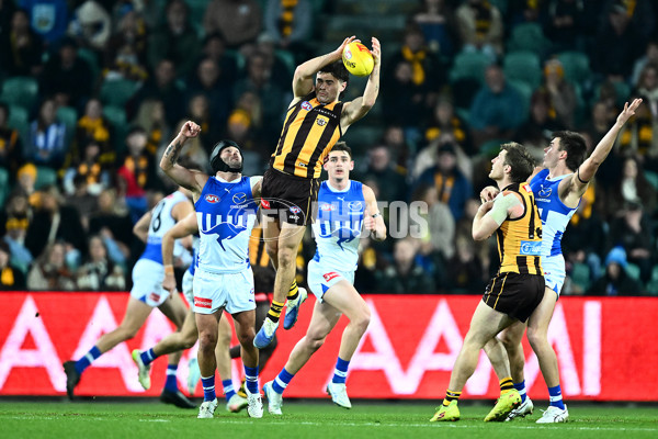 AFL 2025 Round 16 - Hawthorn v North Melbourne - A-60255938