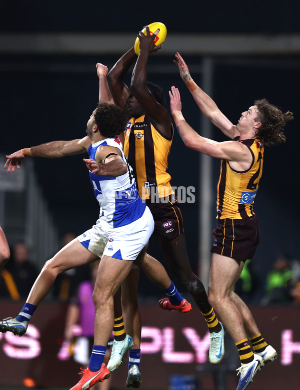 AFL 2025 Round 16 - Hawthorn v North Melbourne - A-60255953