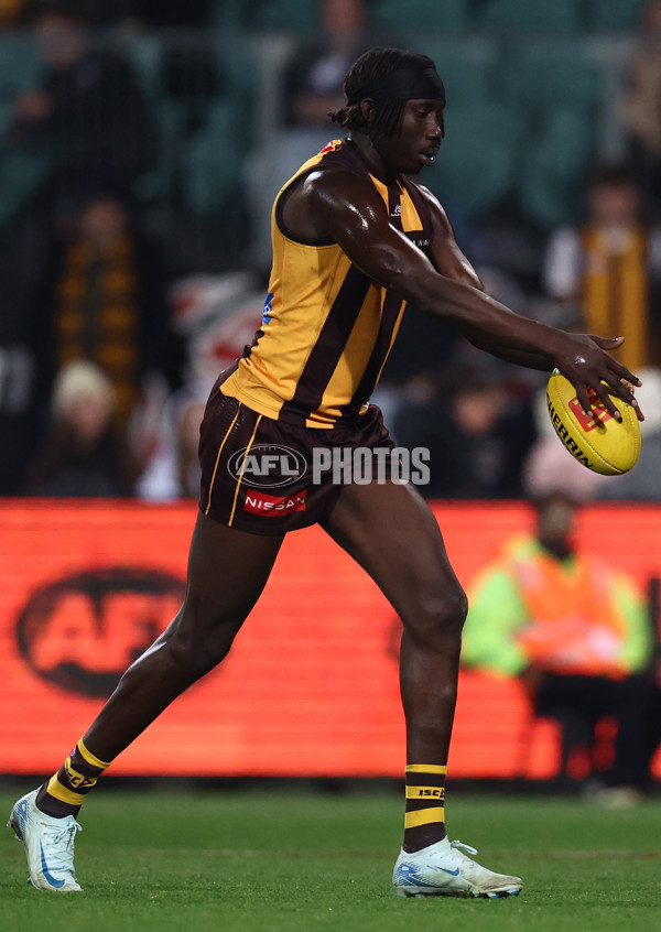 AFL 2025 Round 16 - Hawthorn v North Melbourne - A-60255955