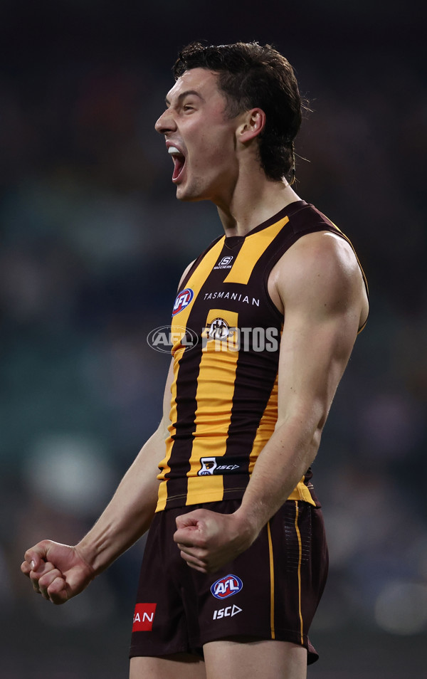 AFL 2025 Round 16 - Hawthorn v North Melbourne - A-60255970