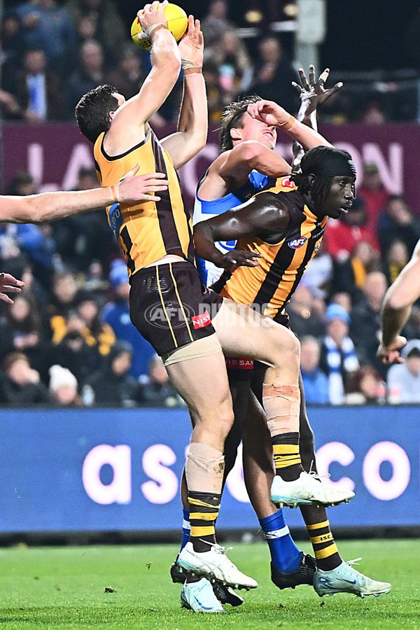 AFL 2025 Round 16 - Hawthorn v North Melbourne - A-60255973