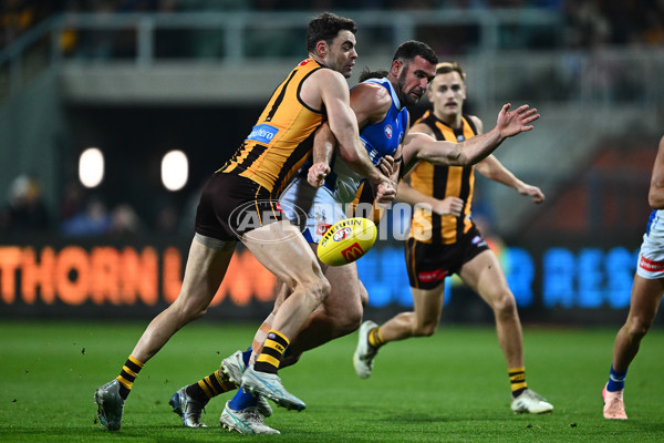 AFL 2025 Round 16 - Hawthorn v North Melbourne - A-60255975