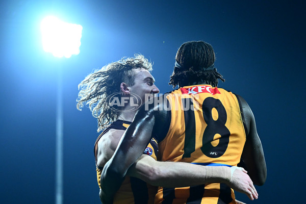 AFL 2025 Round 16 - Hawthorn v North Melbourne - A-60255985