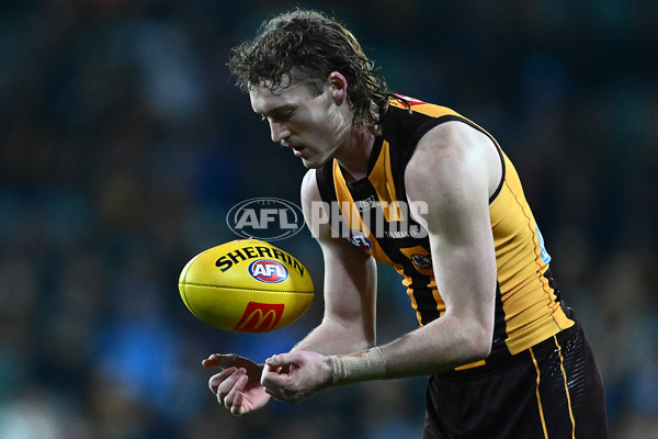 AFL 2025 Round 16 - Hawthorn v North Melbourne - A-60257041