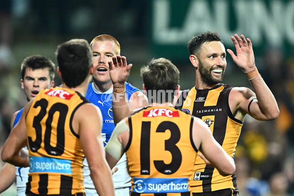 AFL 2025 Round 16 - Hawthorn v North Melbourne - A-60257058