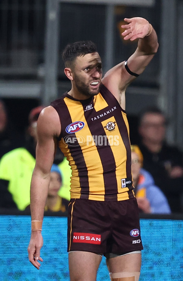 AFL 2025 Round 16 - Hawthorn v North Melbourne - A-60257065