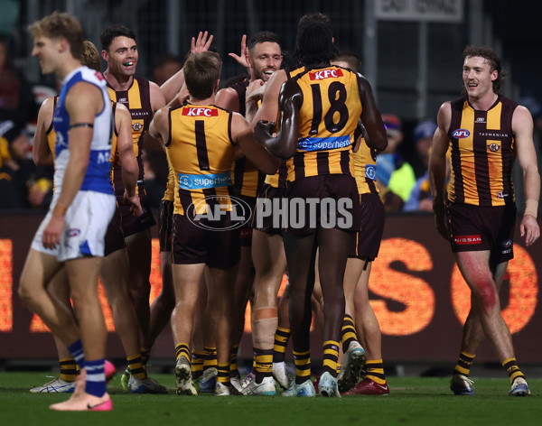 AFL 2025 Round 16 - Hawthorn v North Melbourne - A-60257067