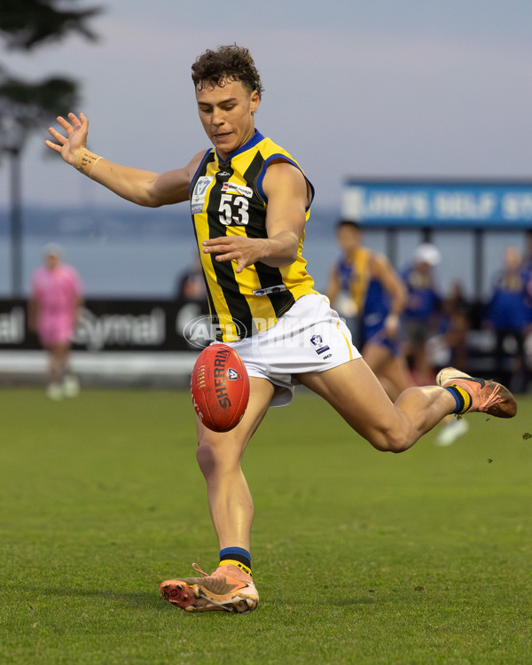 VFL 2025 Round 14 - Williamstown v Sandringham - A-60257076