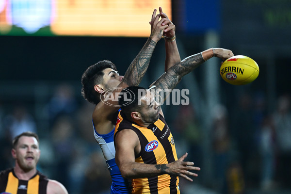 AFL 2025 Round 16 - Hawthorn v North Melbourne - A-60257095