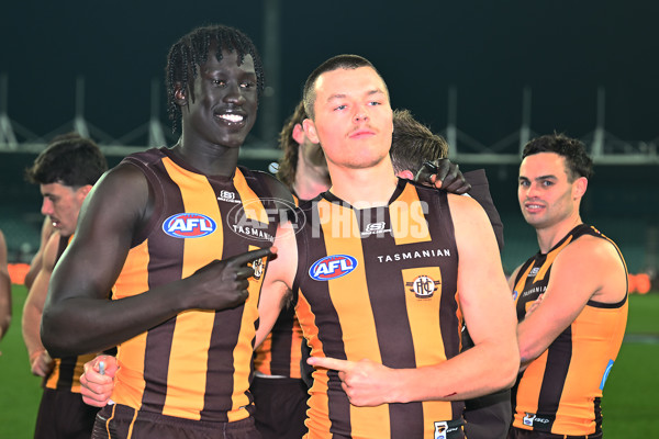 AFL 2025 Round 16 - Hawthorn v North Melbourne - A-60258745