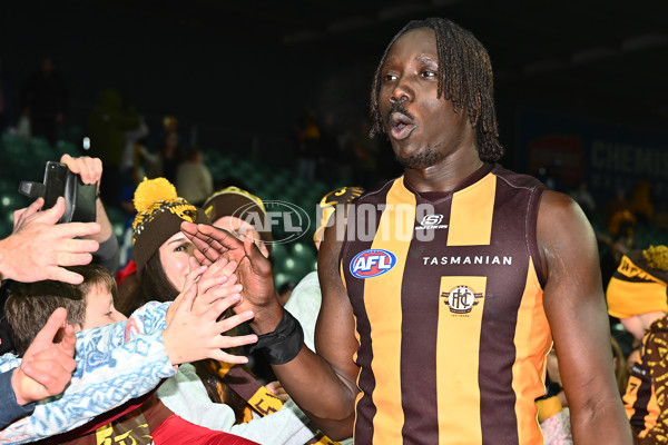 AFL 2025 Round 16 - Hawthorn v North Melbourne - A-60258746