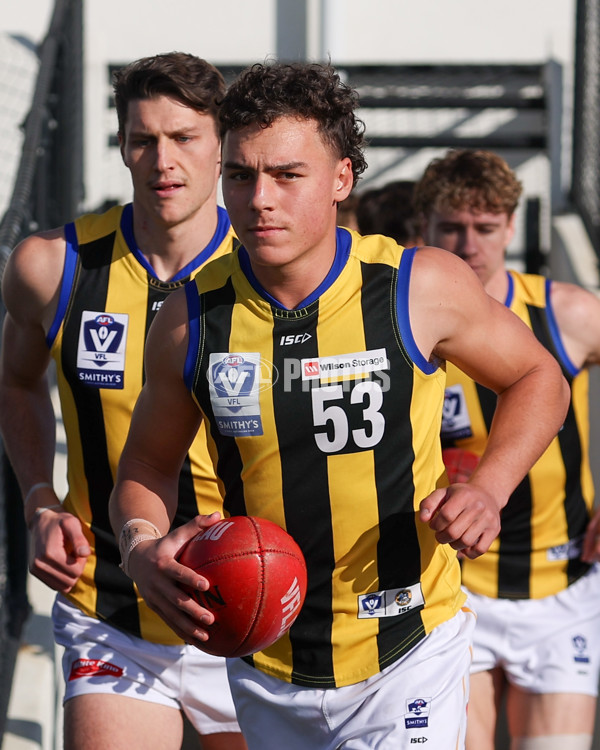 VFL 2025 Round 14 - Williamstown v Sandringham - A-60258748
