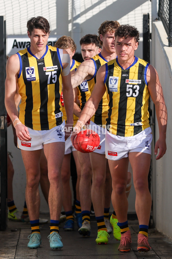 VFL 2025 Round 14 - Williamstown v Sandringham - A-60258749