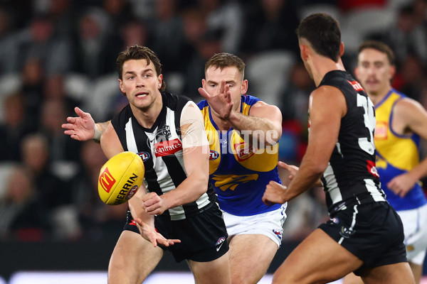 AFL 2025 Round 16 - Collingwood v West Coast - A-60258765