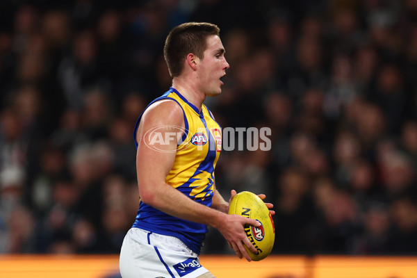 AFL 2025 Round 16 - Collingwood v West Coast - A-60258777