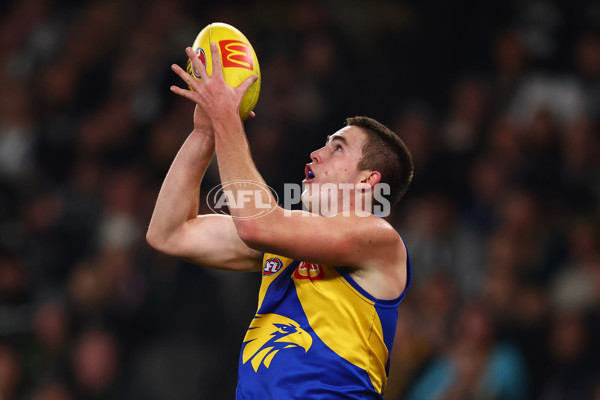 AFL 2025 Round 16 - Collingwood v West Coast - A-60258780