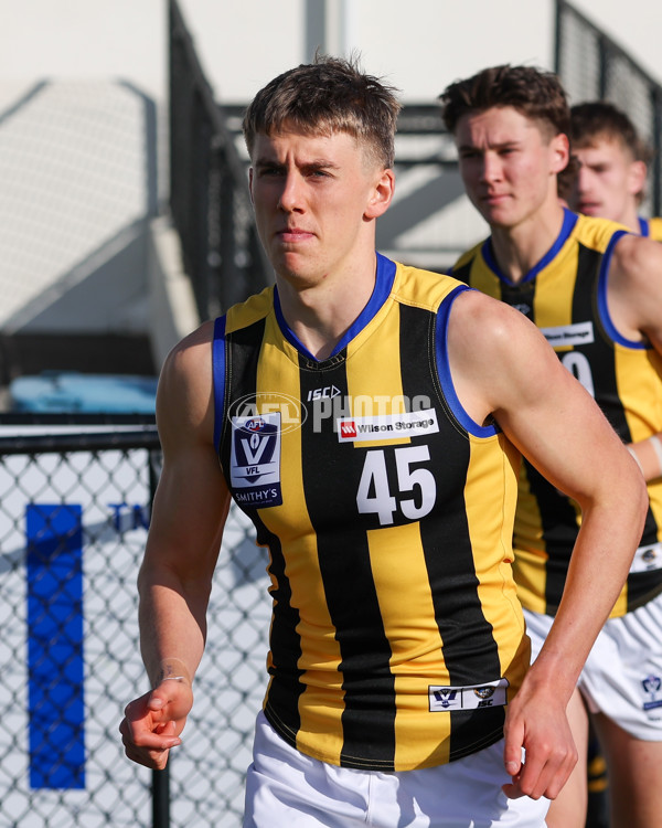 VFL 2025 Round 14 - Williamstown v Sandringham - A-60258792