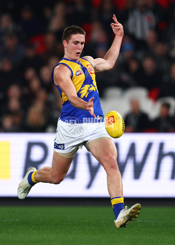 AFL 2025 Round 16 - Collingwood v West Coast - A-60258803