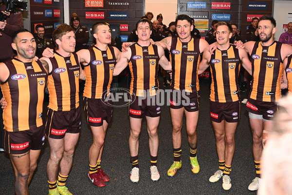 AFL 2025 Round 16 - Hawthorn v North Melbourne - A-60259545