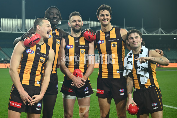 AFL 2025 Round 16 - Hawthorn v North Melbourne - A-60259548