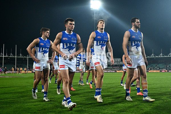 AFL 2025 Round 16 - Hawthorn v North Melbourne - A-60259549