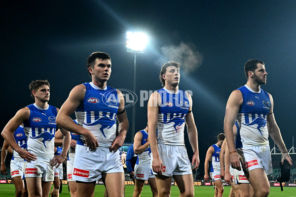 AFL 2025 Round 16 - Hawthorn v North Melbourne - A-60259553