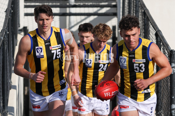 VFL 2025 Round 14 - Williamstown v Sandringham - A-60259554