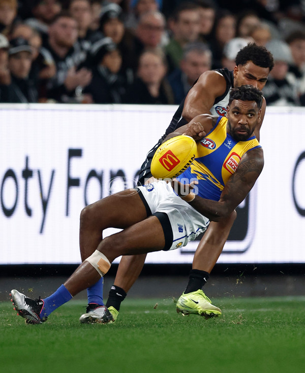 AFL 2025 Round 16 - Collingwood v West Coast - A-60259581