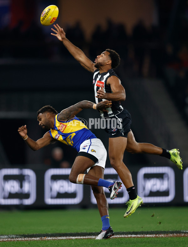 AFL 2025 Round 16 - Collingwood v West Coast - A-60259582