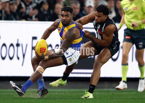 AFL 2025 Round 16 - Collingwood v West Coast - A-60259583