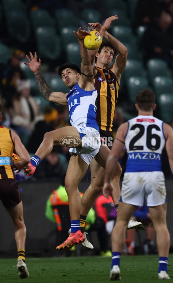 AFL 2025 Round 16 - Hawthorn v North Melbourne - A-60259590