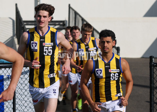 VFL 2025 Round 14 - Williamstown v Sandringham - A-60259597
