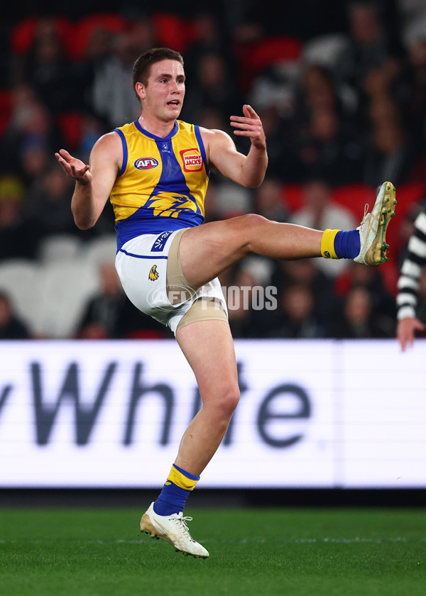 AFL 2025 Round 16 - Collingwood v West Coast - A-60259611