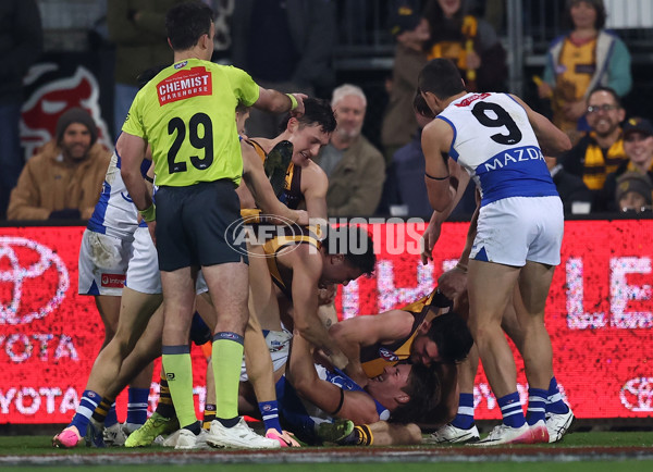 AFL 2025 Round 16 - Hawthorn v North Melbourne - A-60259613