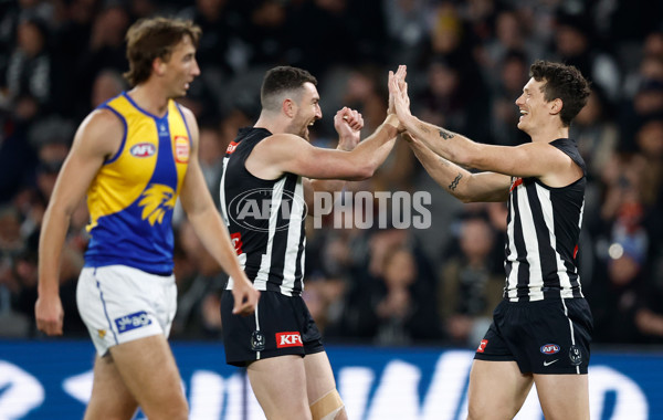 AFL 2025 Round 16 - Collingwood v West Coast - A-60259616