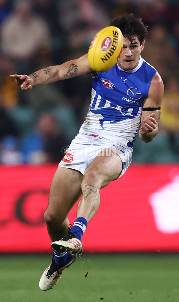 AFL 2025 Round 16 - Hawthorn v North Melbourne - A-60261866