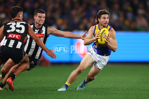 AFL 2025 Round 16 - Collingwood v West Coast - A-60261868