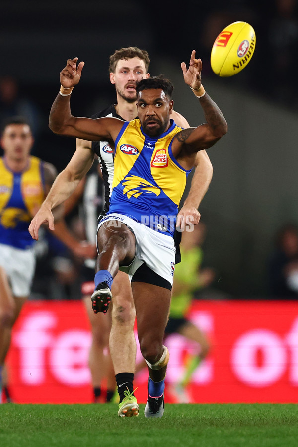 AFL 2025 Round 16 - Collingwood v West Coast - A-60261893