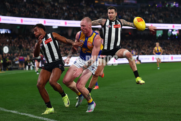 AFL 2025 Round 16 - Collingwood v West Coast - A-60261894
