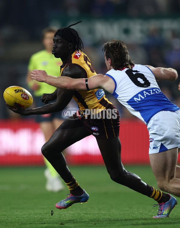 AFL 2025 Round 16 - Hawthorn v North Melbourne - A-60261914