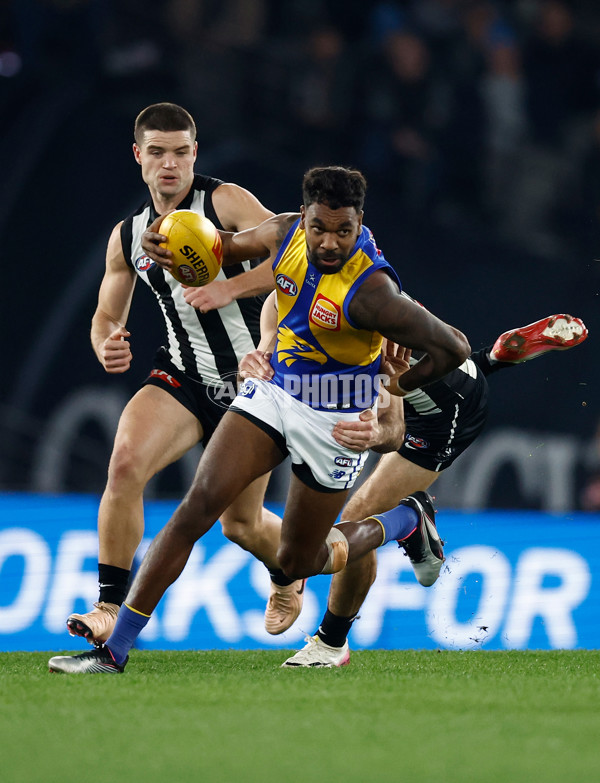 AFL 2025 Round 16 - Collingwood v West Coast - A-60261929