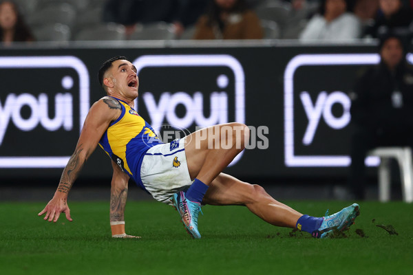 AFL 2025 Round 16 - Collingwood v West Coast - A-60261934