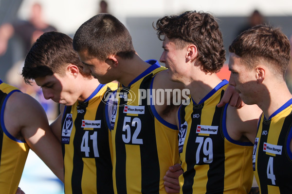 VFL 2025 Round 14 - Williamstown v Sandringham - A-60261952