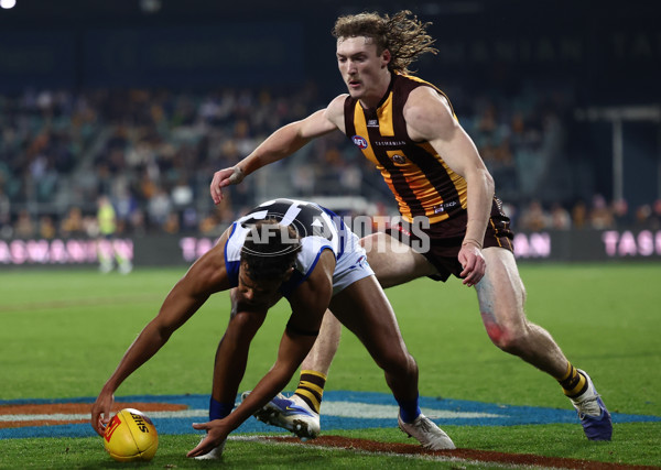 AFL 2025 Round 16 - Hawthorn v North Melbourne - A-60262054
