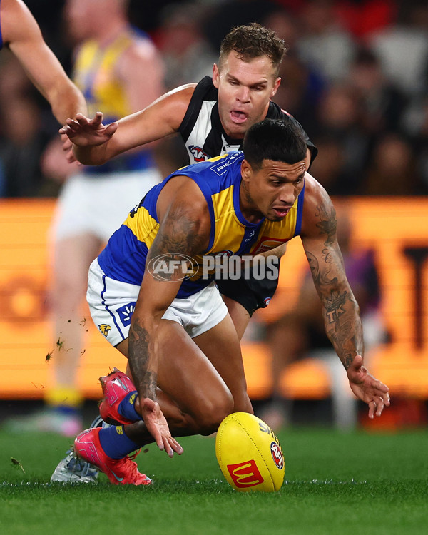 AFL 2025 Round 16 - Collingwood v West Coast - A-60262066