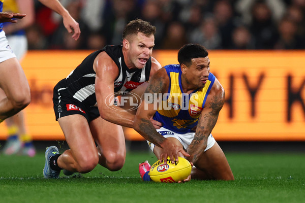 AFL 2025 Round 16 - Collingwood v West Coast - A-60262068